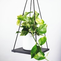 法国国家队训练照 - 姆巴佩带球突破的瞬间